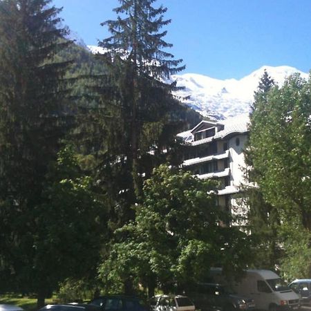 Appartement Chamonix - Vue Mont Blanc Экстерьер фото